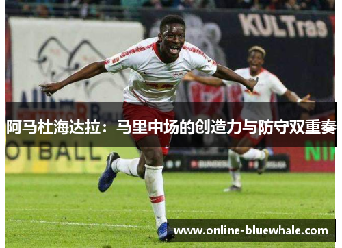 阿马杜海达拉：马里中场的创造力与防守双重奏