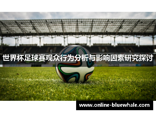 世界杯足球赛观众行为分析与影响因素研究探讨