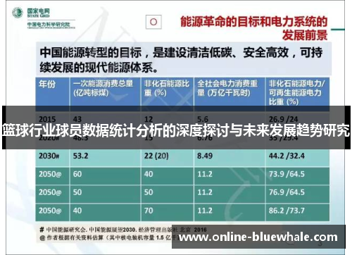 篮球行业球员数据统计分析的深度探讨与未来发展趋势研究