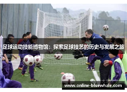 足球运动技能博物馆：探索足球技艺的历史与发展之旅