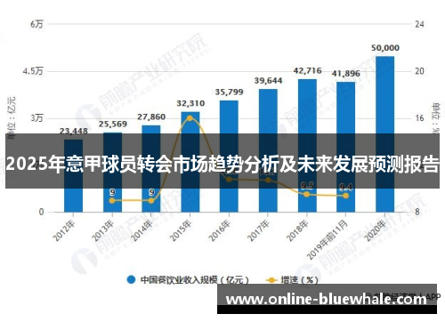 2025年意甲球员转会市场趋势分析及未来发展预测报告