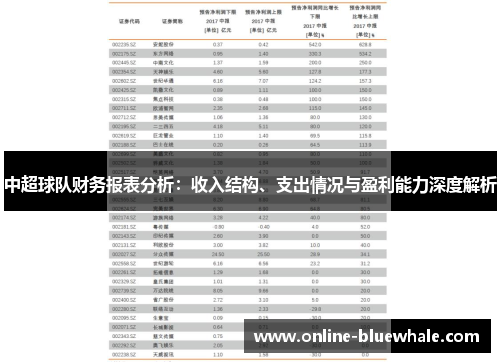 中超球队财务报表分析：收入结构、支出情况与盈利能力深度解析