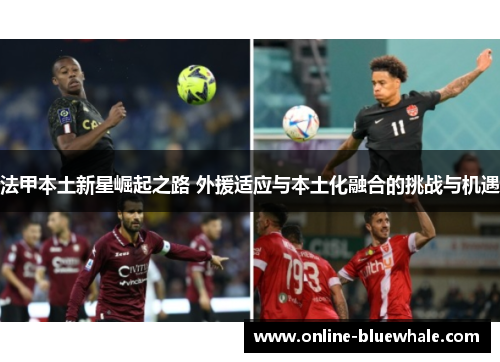 法甲本土新星崛起之路 外援适应与本土化融合的挑战与机遇