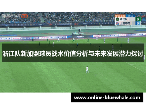 浙江队新加盟球员战术价值分析与未来发展潜力探讨