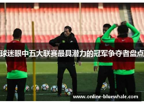 球迷眼中五大联赛最具潜力的冠军争夺者盘点