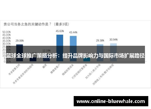 篮球全球推广策略分析：提升品牌影响力与国际市场扩展路径