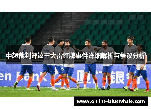 中超裁判评议王大雷红牌事件详细解析与争议分析