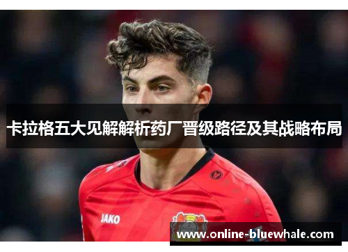 卡拉格五大见解解析药厂晋级路径及其战略布局