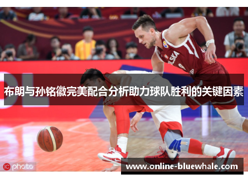 布朗与孙铭徽完美配合分析助力球队胜利的关键因素