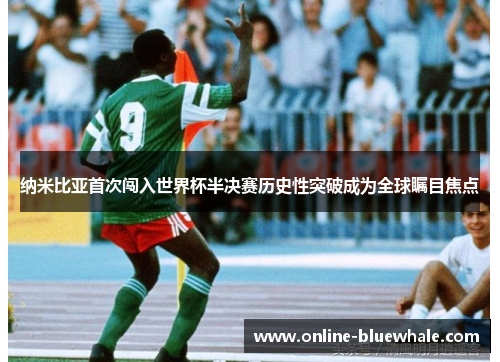 纳米比亚首次闯入世界杯半决赛历史性突破成为全球瞩目焦点