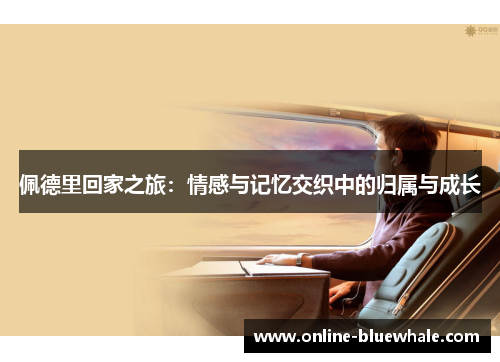 佩德里回家之旅：情感与记忆交织中的归属与成长