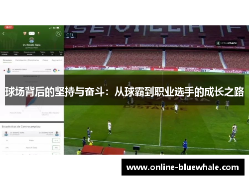 球场背后的坚持与奋斗：从球霸到职业选手的成长之路