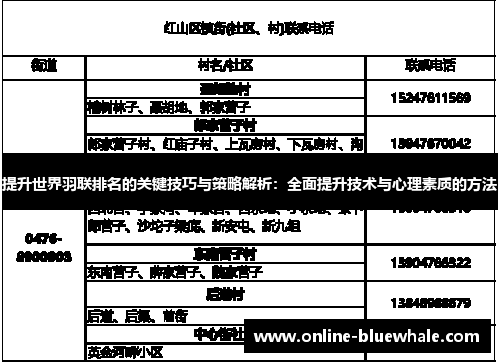 提升世界羽联排名的关键技巧与策略解析：全面提升技术与心理素质的方法