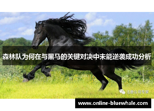 森林队为何在与黑马的关键对决中未能逆袭成功分析