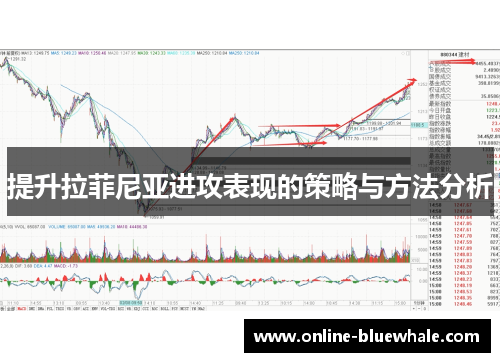 提升拉菲尼亚进攻表现的策略与方法分析