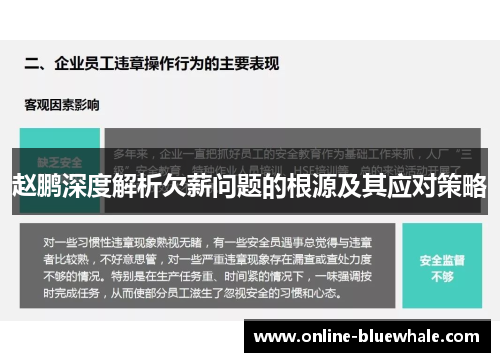 赵鹏深度解析欠薪问题的根源及其应对策略