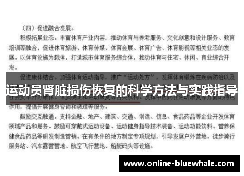 运动员肾脏损伤恢复的科学方法与实践指导