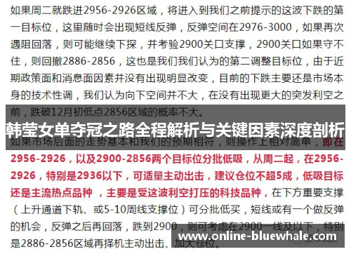韩莹女单夺冠之路全程解析与关键因素深度剖析