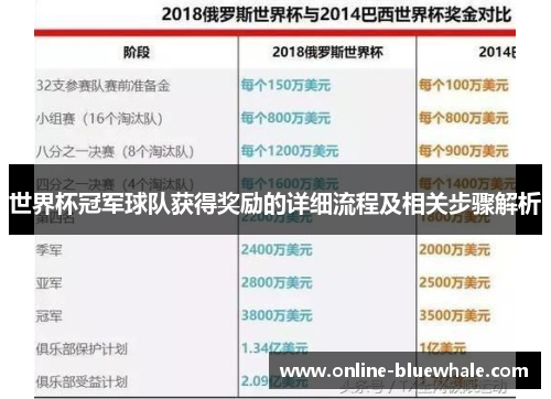 世界杯冠军球队获得奖励的详细流程及相关步骤解析